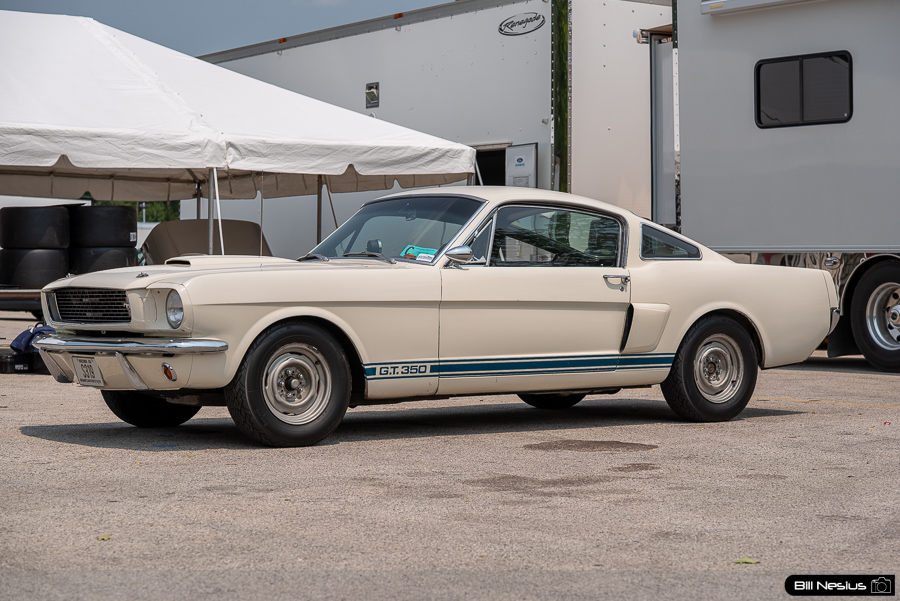 1965 Ford Mustang Shelby GT350 / IMG_1364 / 4
