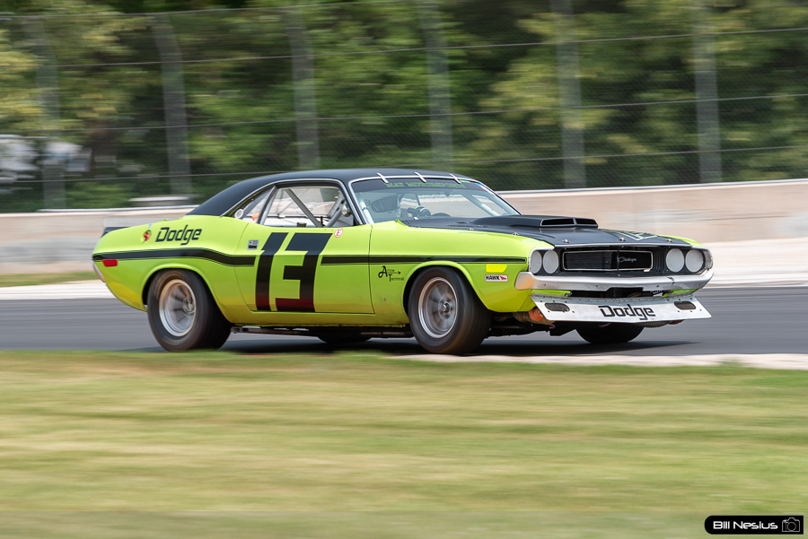 1970 Dodge Challenger Number 13 / IMG_1970 / 4