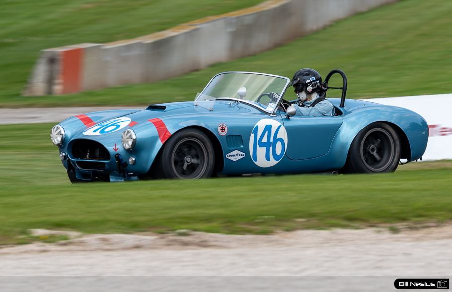 1964 AC Cobra FIA 289 Number 146 / DSC_9162 / 4