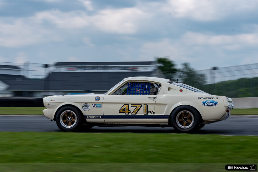  / IMG_3019 / 4