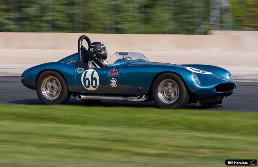 1959 Echidna Number 66 / IMG_3694 / 4