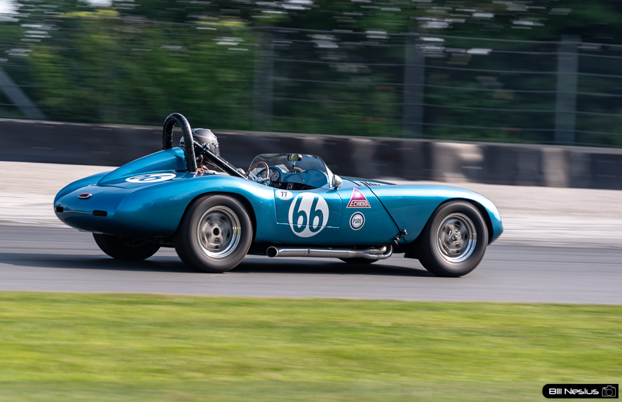 1959 Echidna Number 66 / IMG_3696 / 3