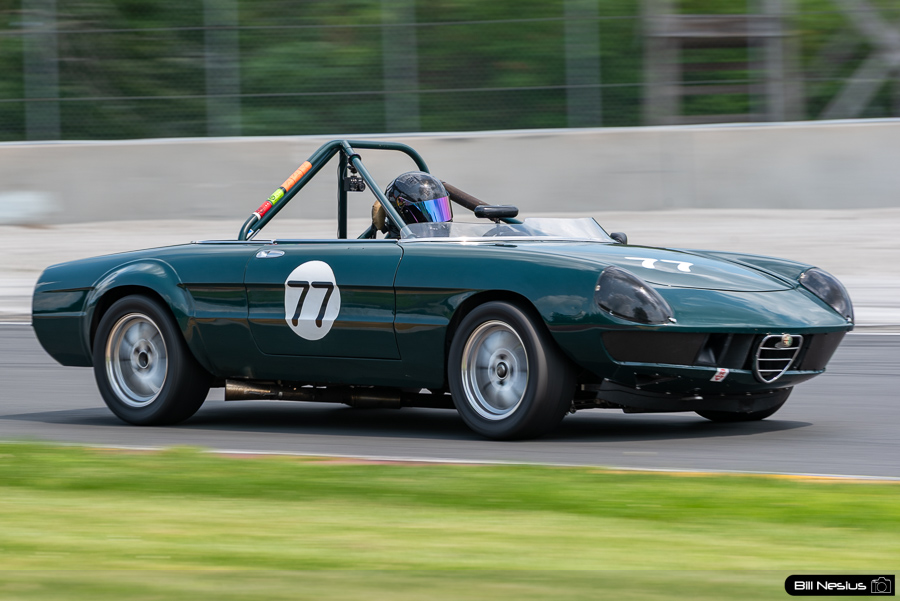 1972 Alfa Romeo Spider Number 77 / IMG_5260 / 3