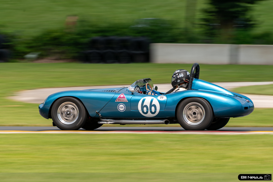 1959 Echidna Number 66 / IMG_5369 / 3