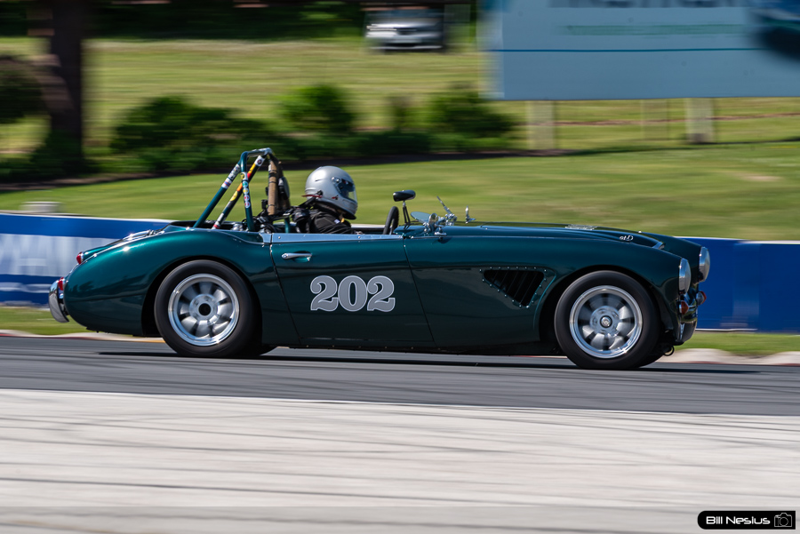 1966 Austin Healey 3000 Number 202 / DSC_5534 / 3