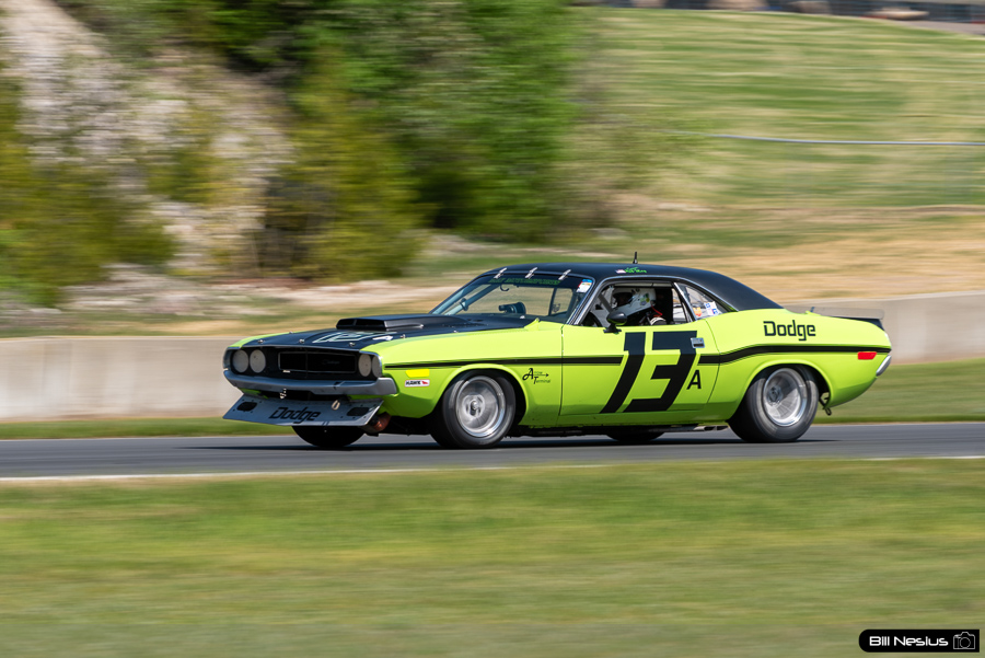 1970 Dodge Challenger Number 13 / DSC_6969 / 3