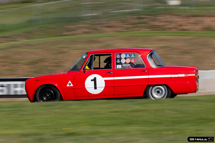 1965 Alfa Romeo Giulia ti Number 1 / IMG_2441 / 2