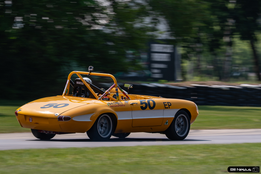 1969 Alfa Romeo Duetto Number 50 / IMG_5206 / 3