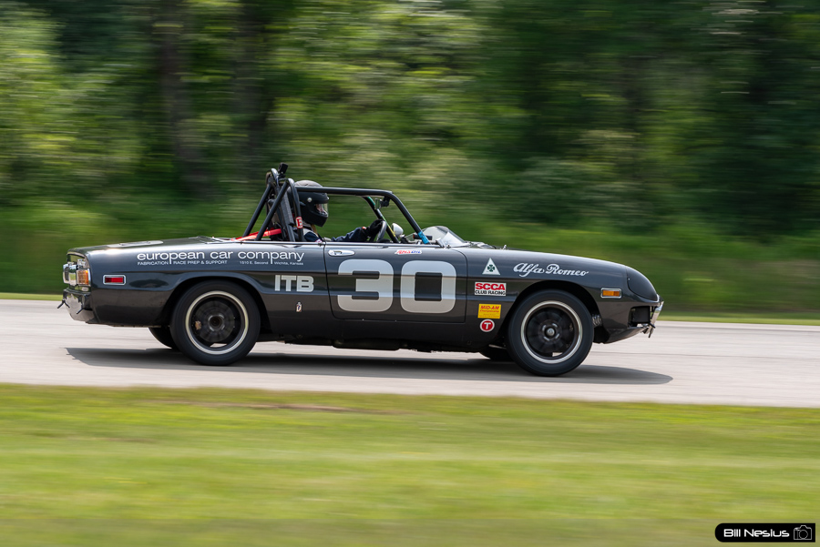 1982 Alfa Romeo Spider Number 30 / IMG_7920 / 3