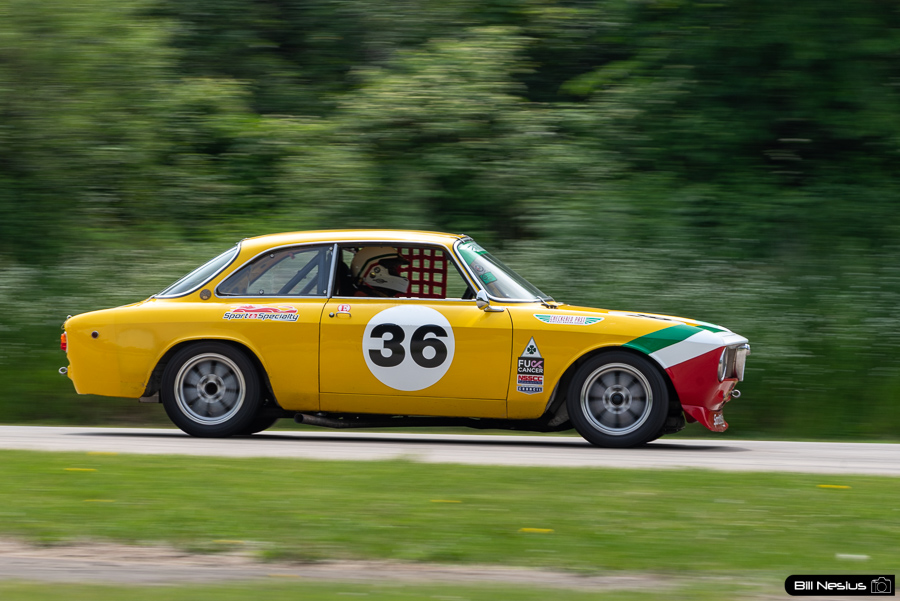 1969 Alfa Romeo GTV Number 36 / IMG_8151 / 3