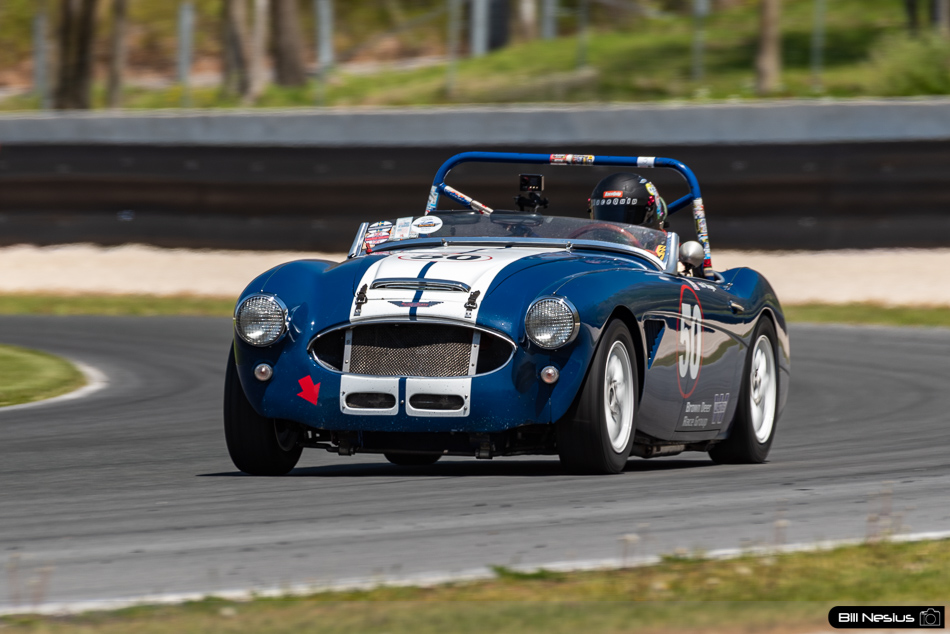 1960 Austin Healey 3000 Number 50 - IMG_8008 / 3