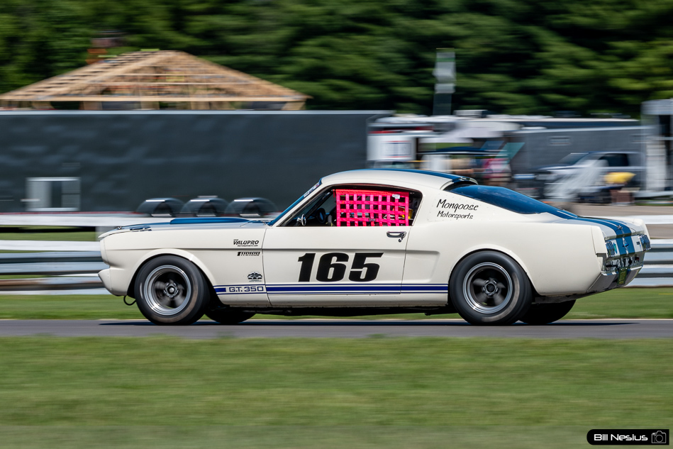 1965 Ford Mustang Shelby GT350 Number 165 - DSC_1246 / 3