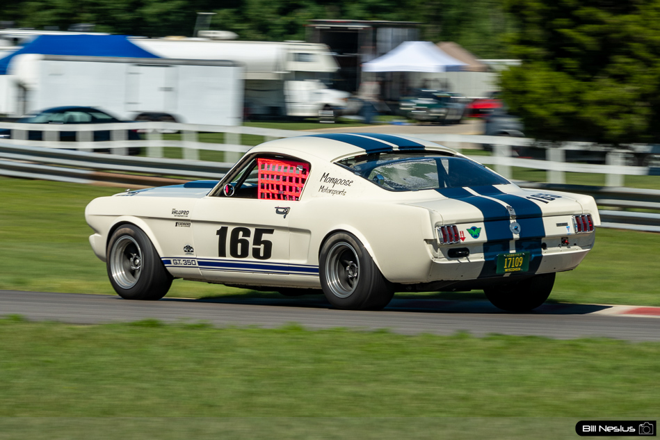 1965 Ford Mustang Shelby GT350 Number 165 - DSC_1252 / 3