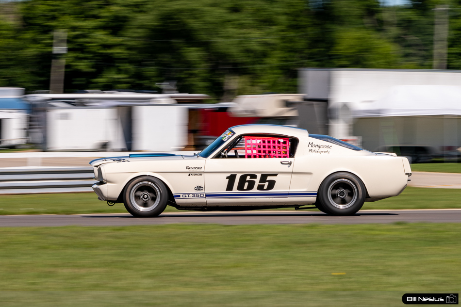 1965 Ford Mustang Shelby GT350 Number 165 - DSC_1316 / 3