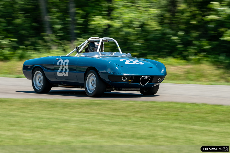 1971 Alfa Romeo Spider 1750 Number 28 - DSC_2398 / 3