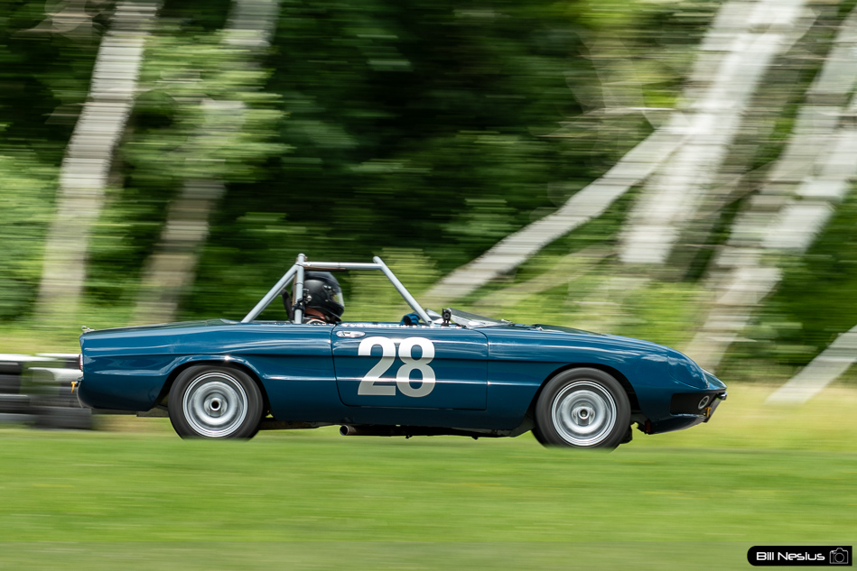 1971 Alfa Romeo Spider 1750 Number 28 - DSC_4132 / 3