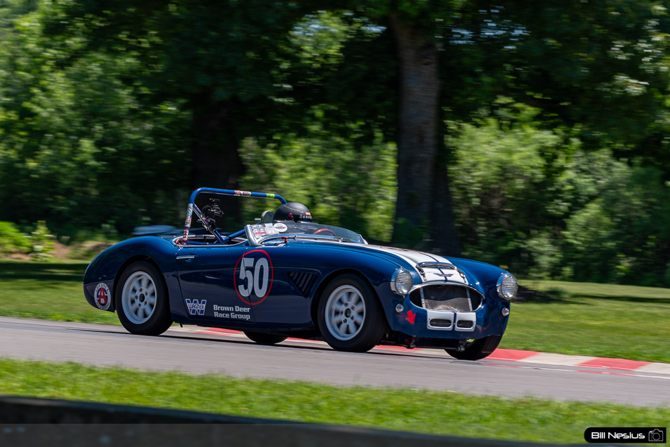 1960 Austin Healey 3000 Number 50 - IMG_0668 / 3