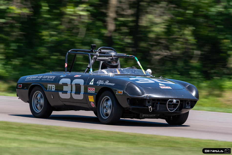 1982 Alfa Romeo Spider Number 30 - IMG_1625 / 3