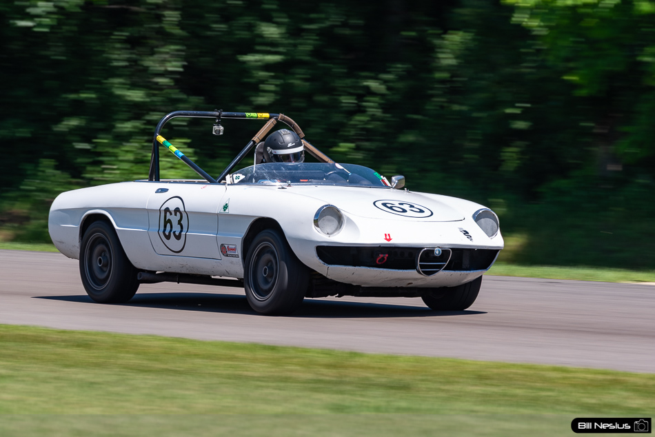 1974 Alfa Romeo Spider Number 63 - IMG_1685 / 3