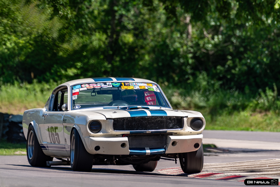 1965 Ford Mustang Shelby GT350 Number 165 - IMG_1887 / 3