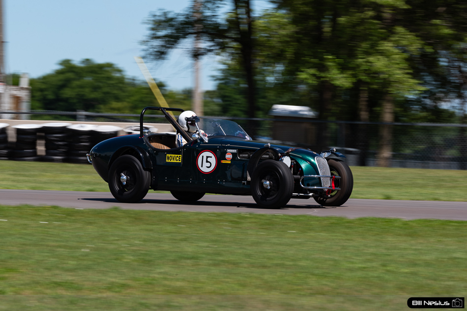 Jaguar Number 15 - IMG_2196 / 3