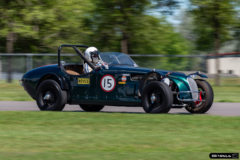 Jaguar Number 15 - IMG_2197 / 4