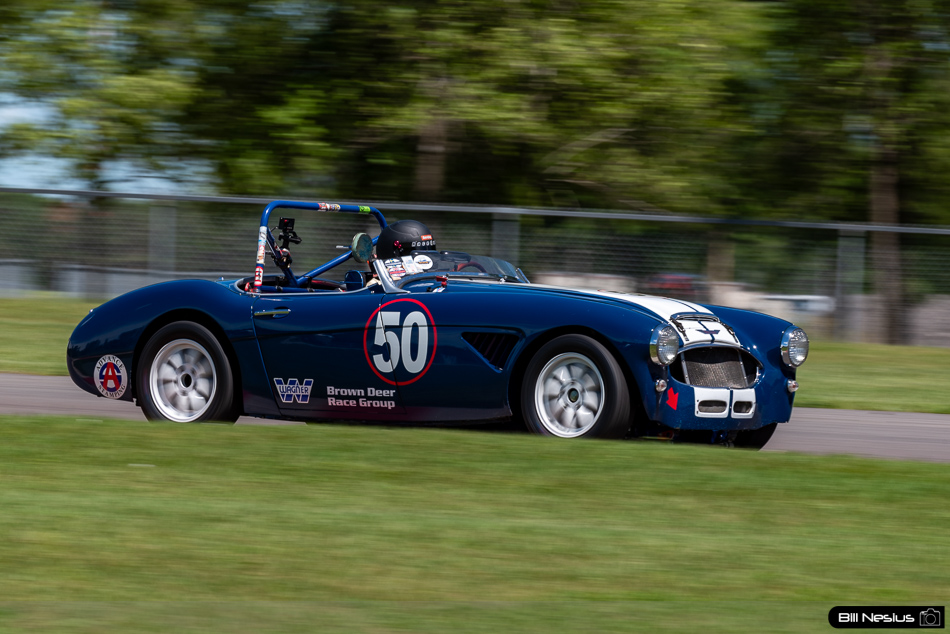 1960 Austin Healey 3000 Number 50 - IMG_2218 / 4
