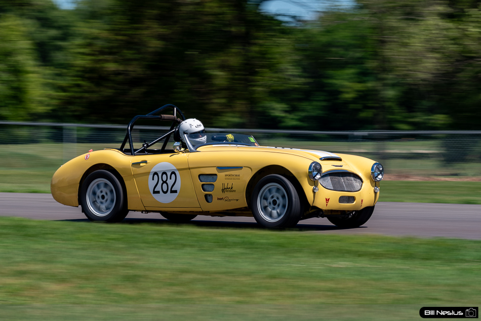 1959 Austin Healey 3000 Number 282 - IMG_2340 / 4