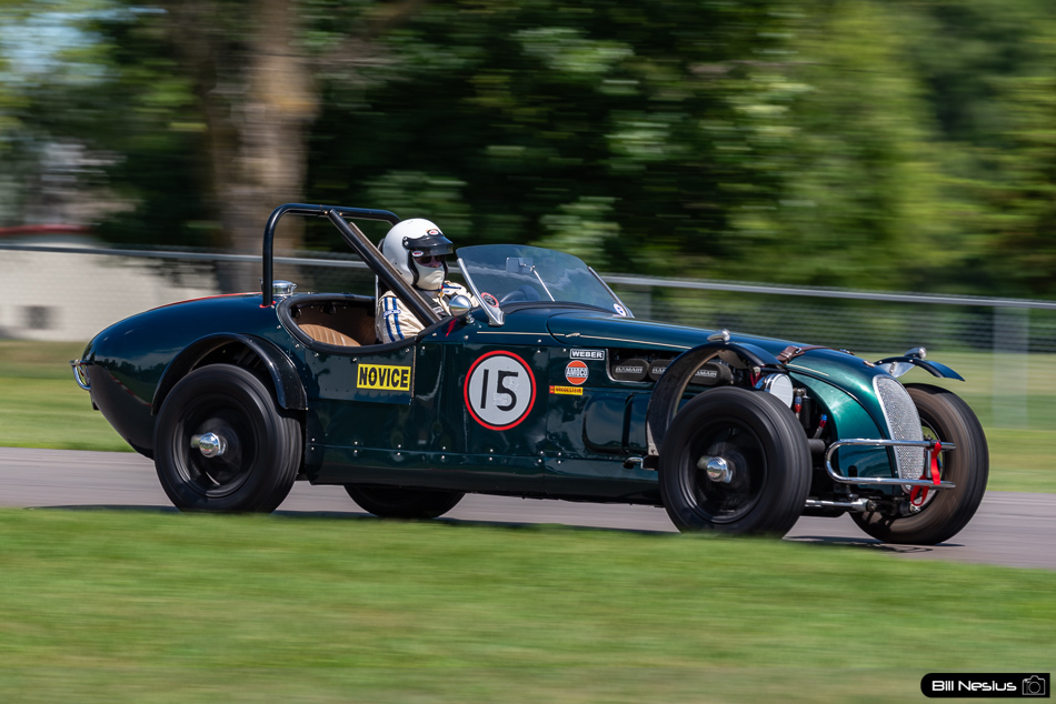 Jaguar Number 15 - IMG_2537 / 3