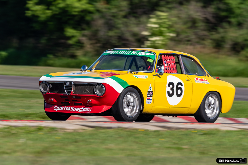 1969 Alfa Romeo GTV Number 36 - IMG_3671 / 3
