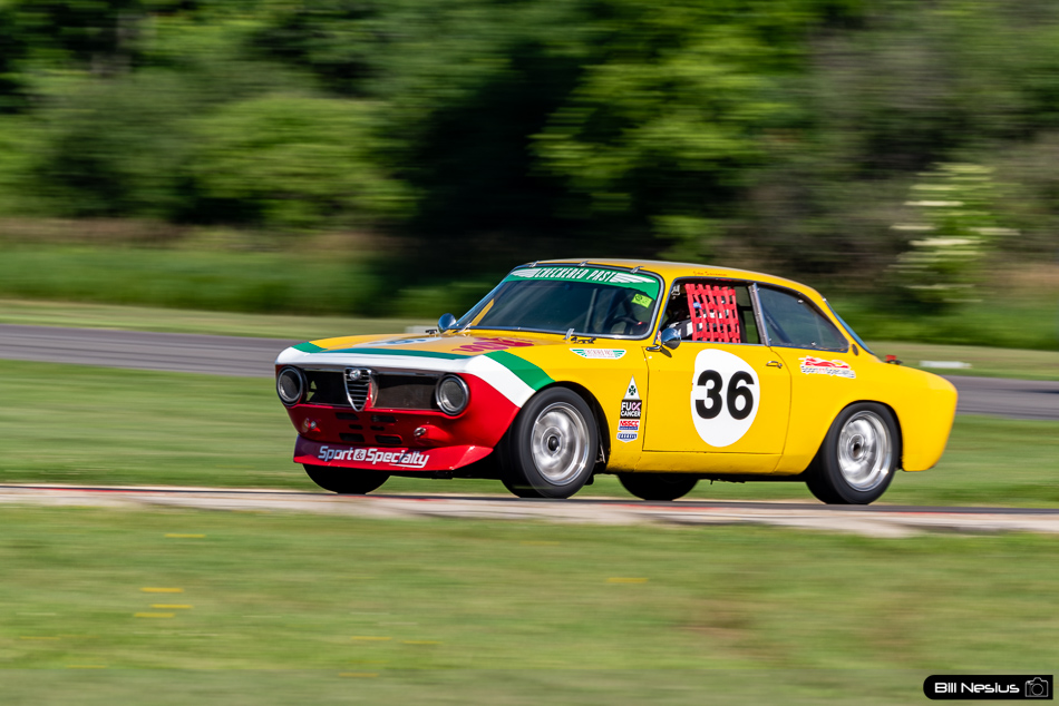 1969 Alfa Romeo GTV Number 36 - IMG_4080 / 3
