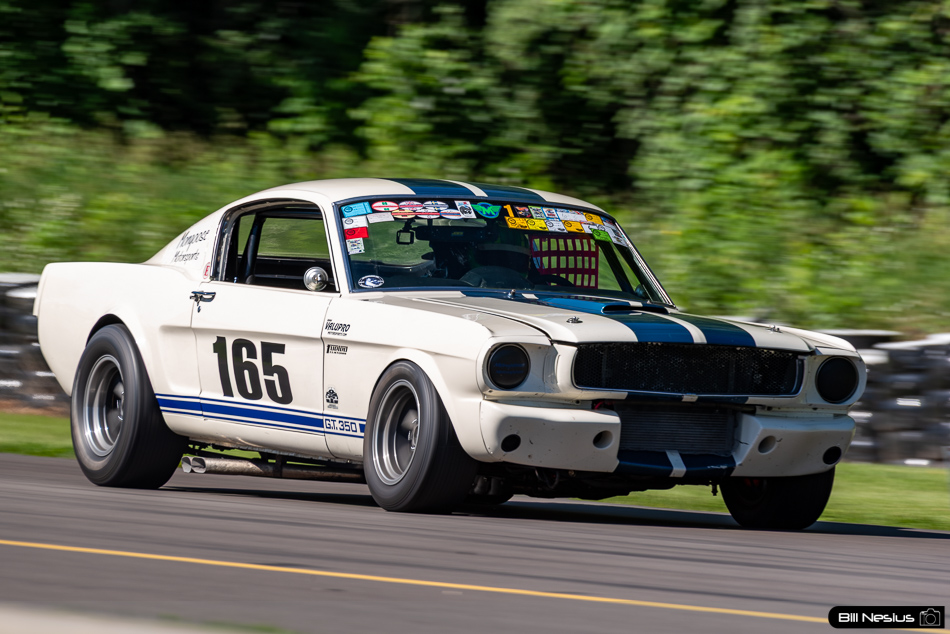 1965 Ford Mustang Shelby GT350 Number 165 - IMG_4156 / 3