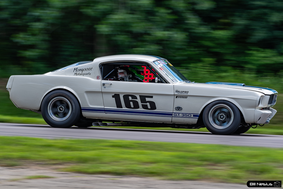 1965 Ford Mustang Shelby GT350 Number 165 - IMG_6107 / 3