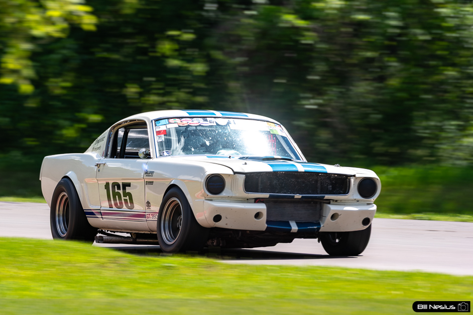 1965 Ford Mustang Shelby GT350 Number 165 - IMG_6207 / 3