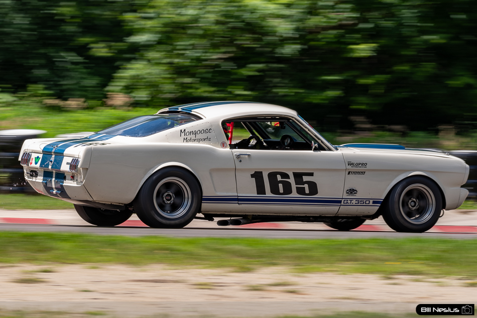 1965 Ford Mustang Shelby GT350 Number 165 - IMG_6248 / 3