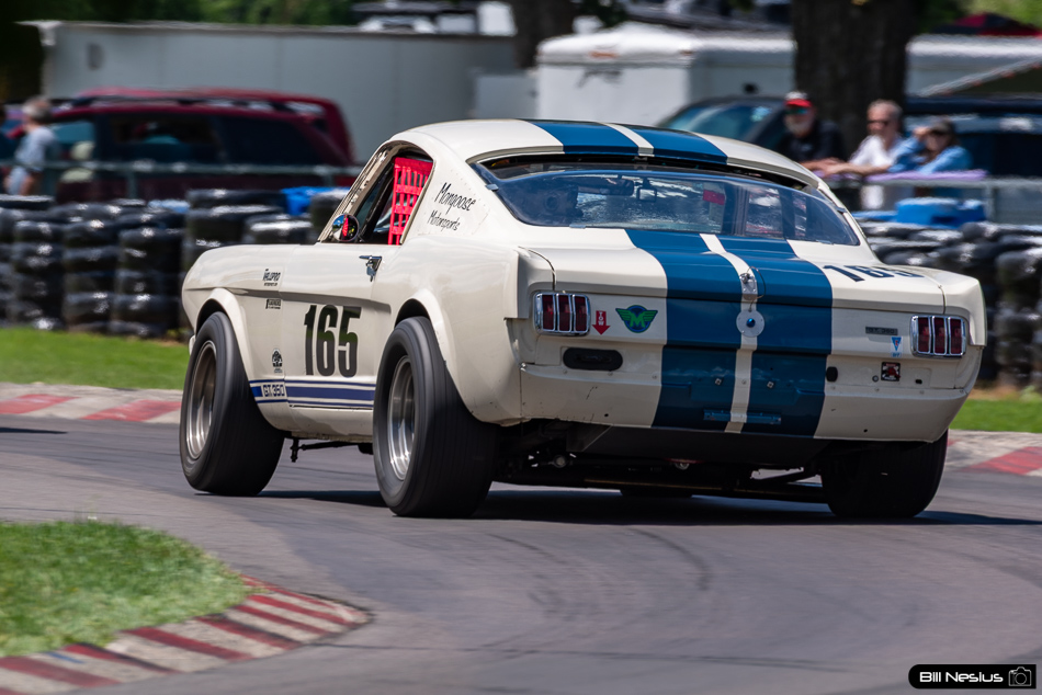 1965 Ford Mustang Shelby GT350 Number 165 - IMG_6377 / 3