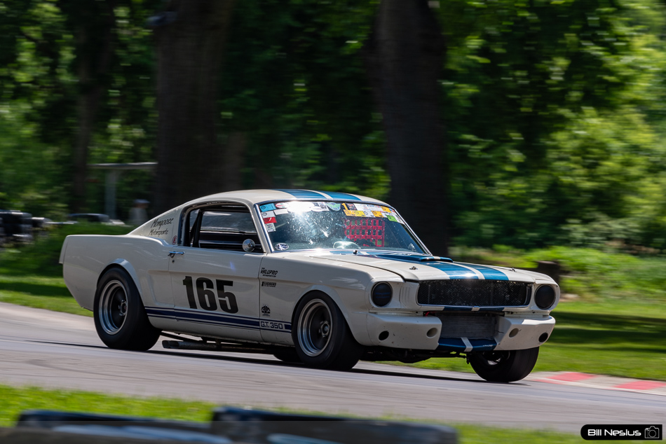 1965 Ford Mustang Shelby GT350 Number 165 - IMG_6432 / 3