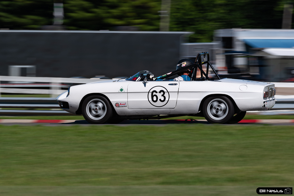 1974 Alfa Romeo Spider Number 63 - IMG_8223 / 3