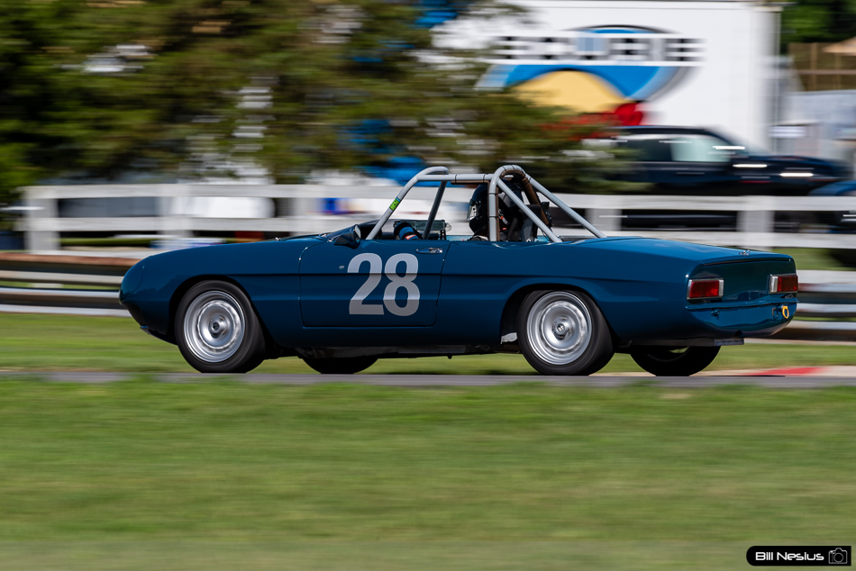 1971 Alfa Romeo Spider 1750 Number 28 - IMG_8229 / 3