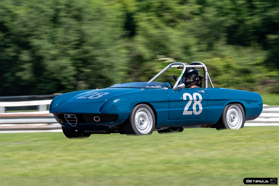 1971 Alfa Romeo Spider 1750 Number 28 - IMG_8379 / 3