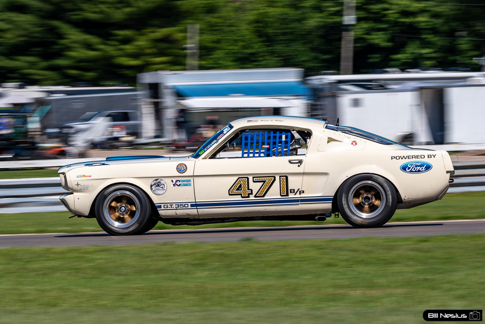1966 Ford Mustang Shelby GT350 Number 471 - IMG_8545 / 3