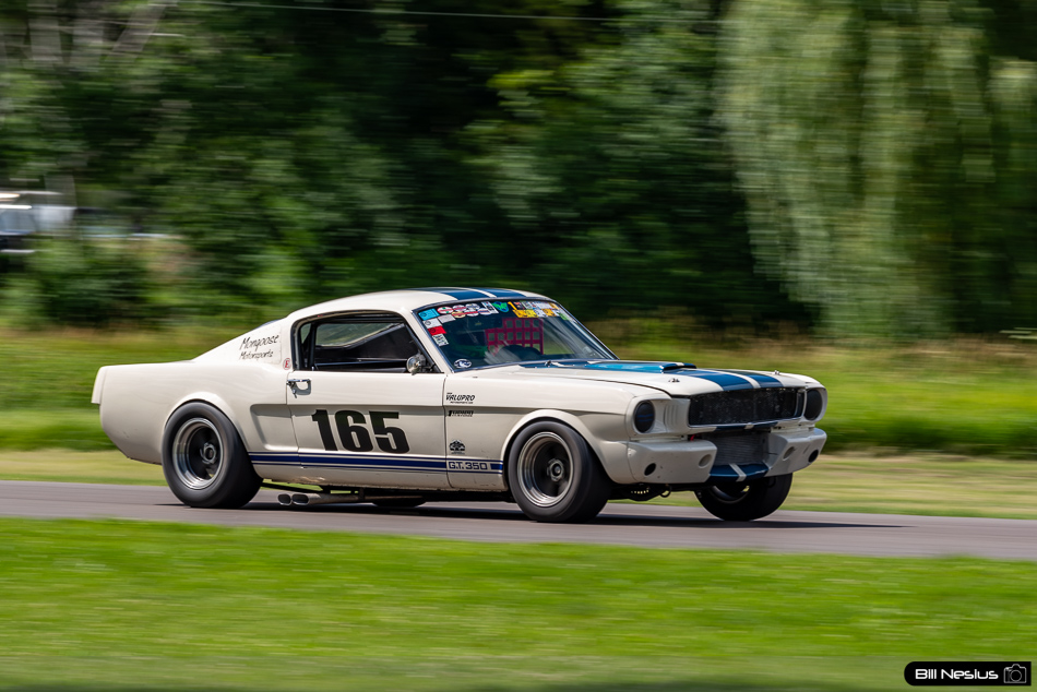 1965 Ford Mustang Shelby GT350 Number 165 - IMG_8864 / 3