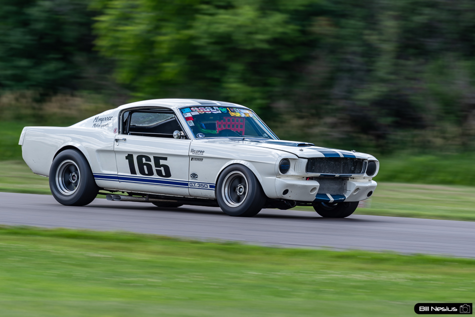 1965 Ford Mustang Shelby GT350 Number 165 - IMG_8957 / 4