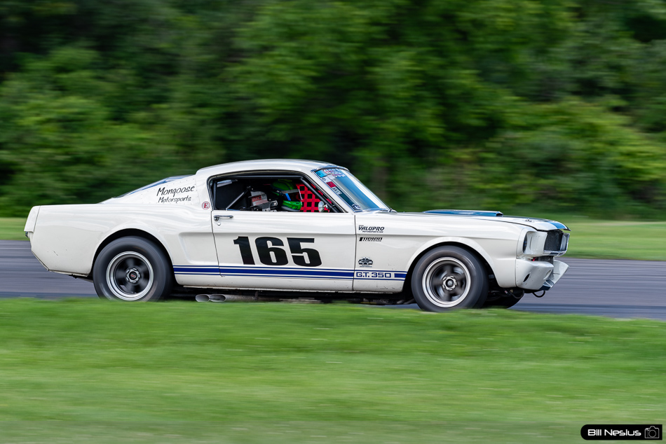 1965 Ford Mustang Shelby GT350 Number 165 - IMG_9011 / 3