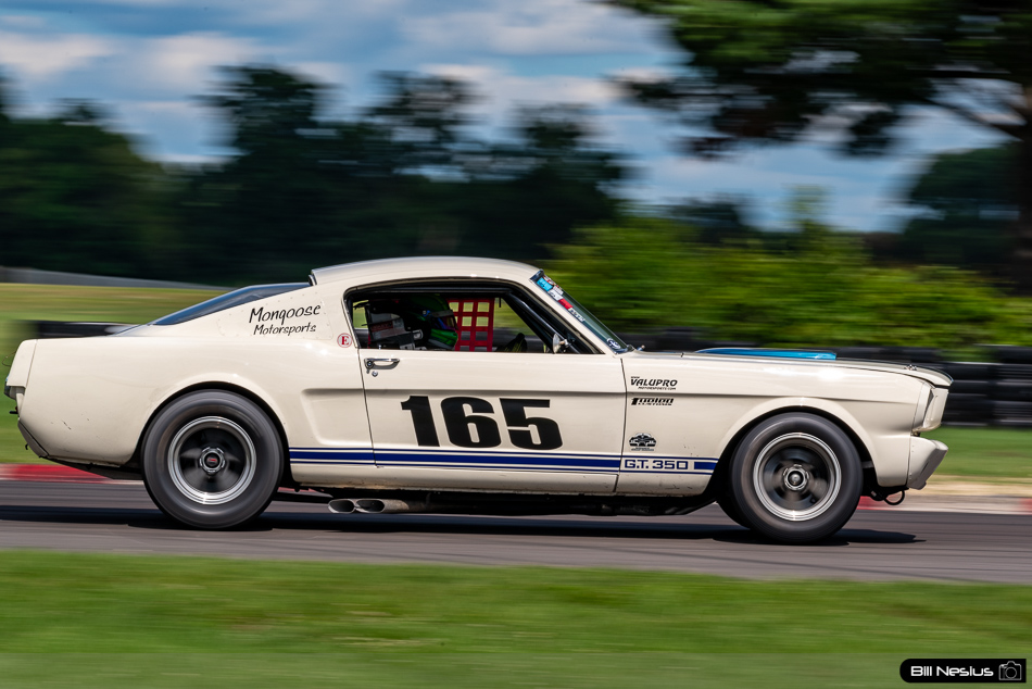 1965 Ford Mustang Shelby GT350 Number 165 - IMG_9128 / 3