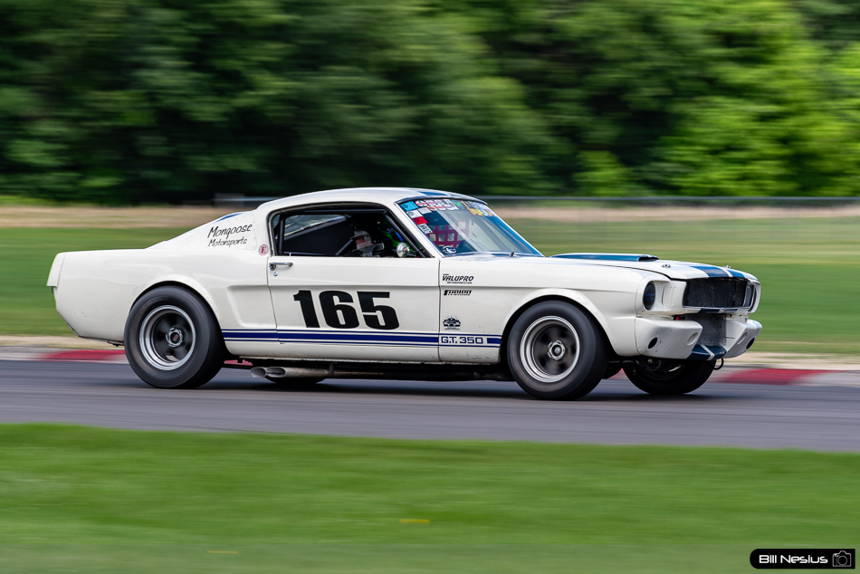 1965 Ford Mustang Shelby GT350 Number 165 - IMG_9177 / 3